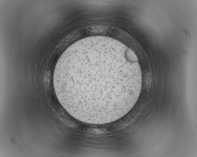 X0000111190737200908121047