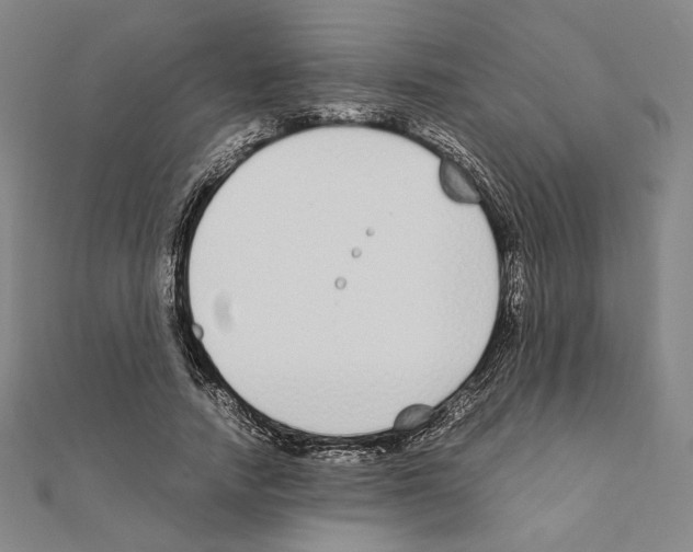 X0000111190738200908121047
