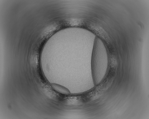 X0000111190740200908121047