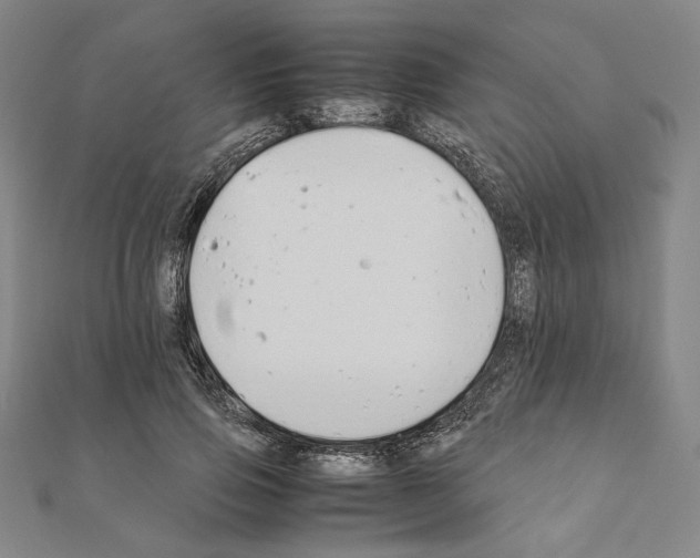 X0000111190741200908121047