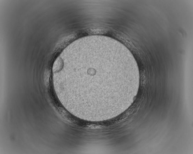 X0000111190742200908121047