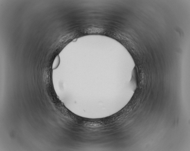 X0000111190743200908121047