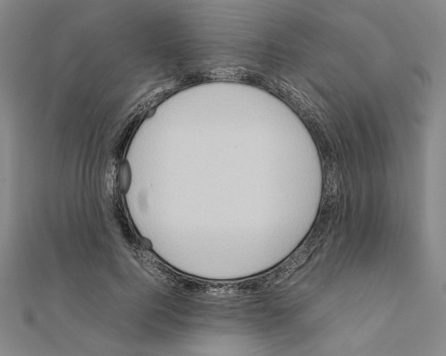 X0000111190744200908121047
