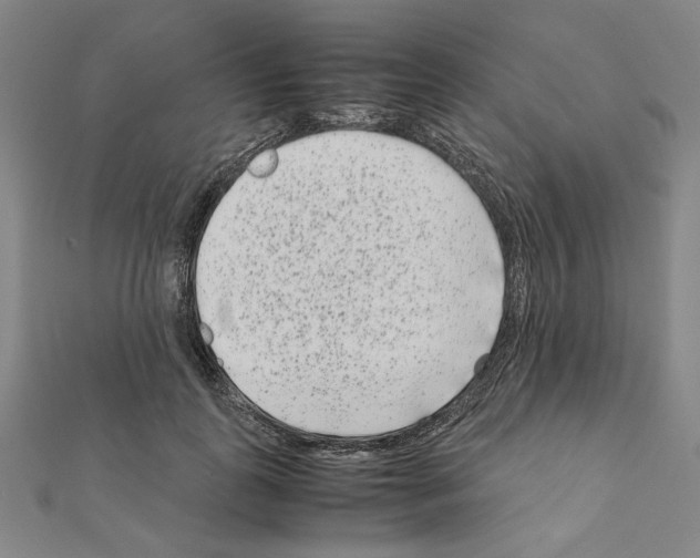 X0000111190747200908121047