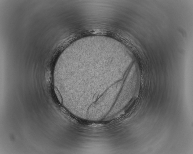 X0000111190748200908121047