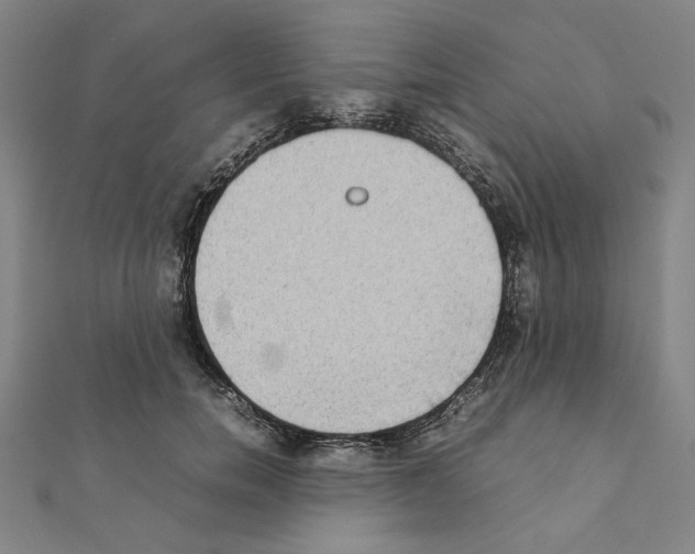 X0000111190750200908121047