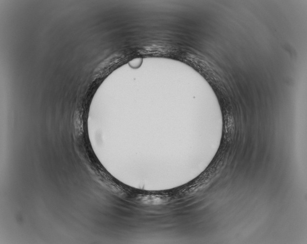X0000111190751200908121047