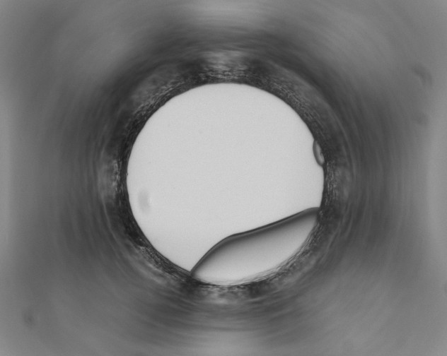 X0000111190752200908121047