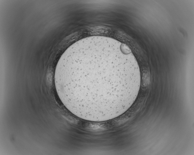 X0000111190753200908121047