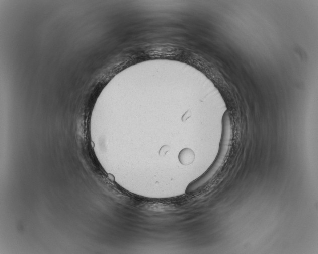 X0000111190755200908121047