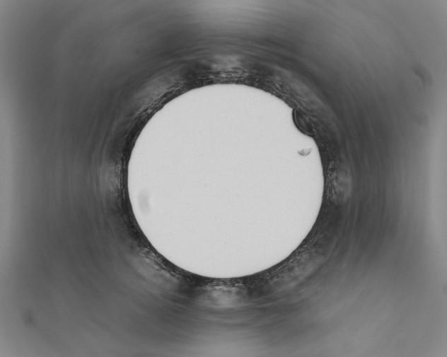 X0000111190756200908121047