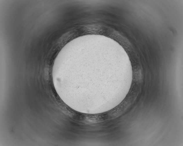 X0000111190757200908121047