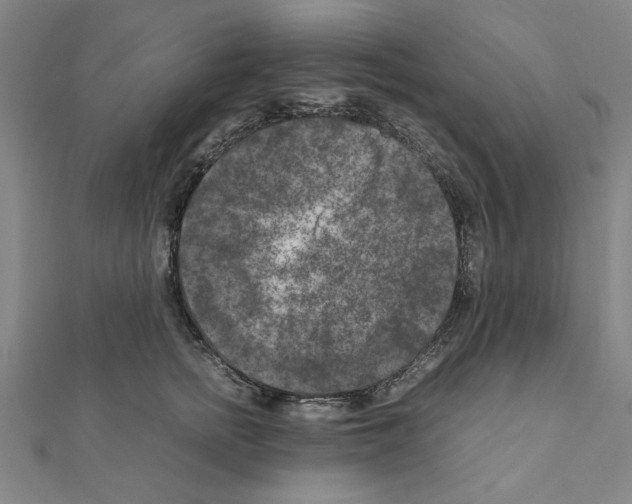 X0000111190758200908121047