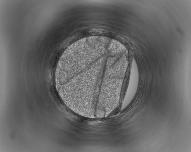 X0000111190759200908121047