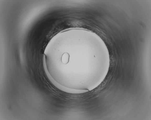 X0000111190762200908121047