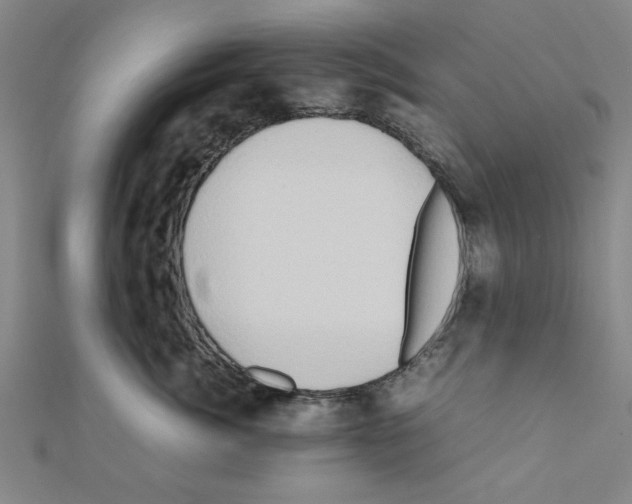 X0000111190764200908121047