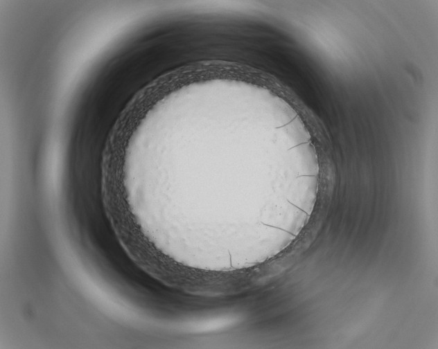 X0000111190765200908121047