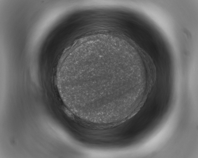 X0000111190766200908121047