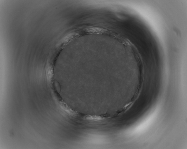 X0000111190767200908121047