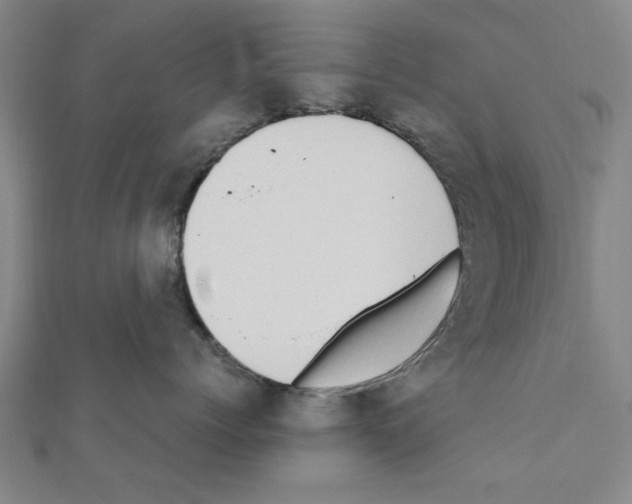 X0000111190768200908121047