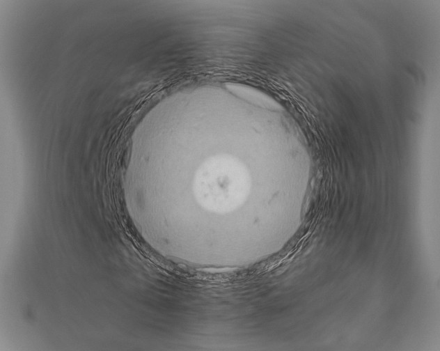 X0000111190769200908121046