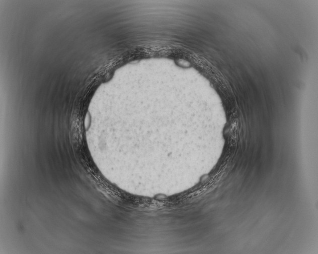 X0000111190772200908121046