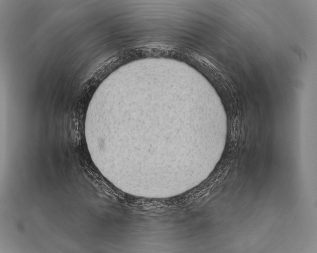 X0000111190774200908121046