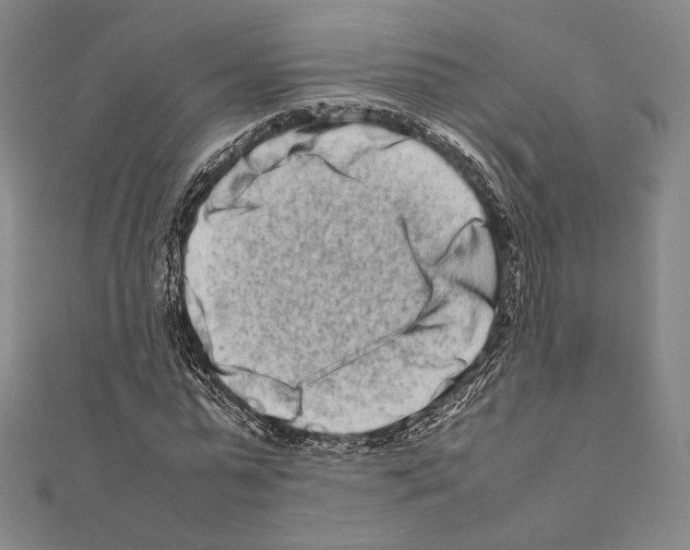 X0000111190775200908121046