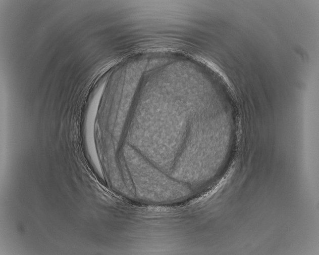 X0000111190777200908121046