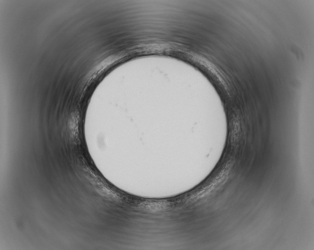 X0000111190778200908121046