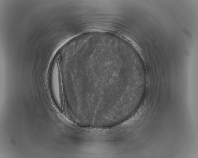 X0000111190779200908121046