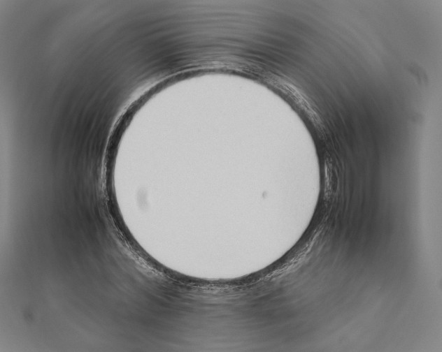 X0000111190780200908121046