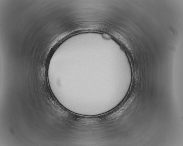 X0000111190781200908121046