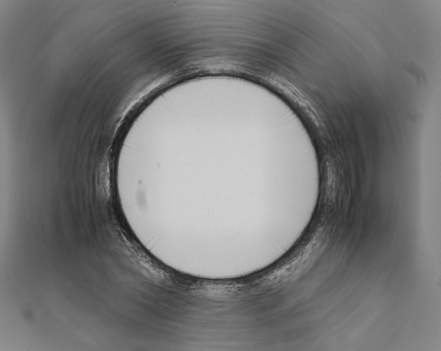 X0000111190782200908121046