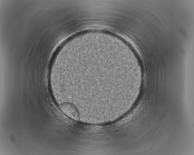 X0000111190783200908121046