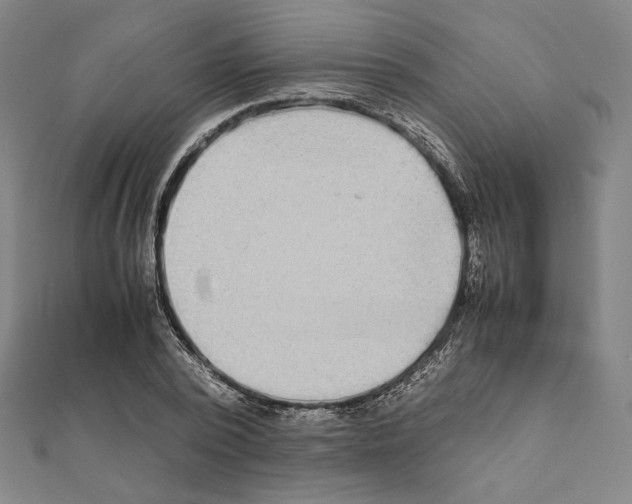 X0000111190784200908121046