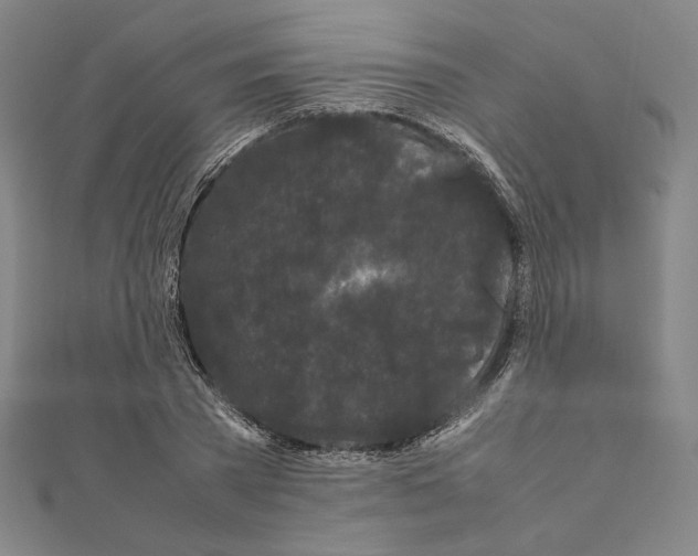 X0000111190785200908121046