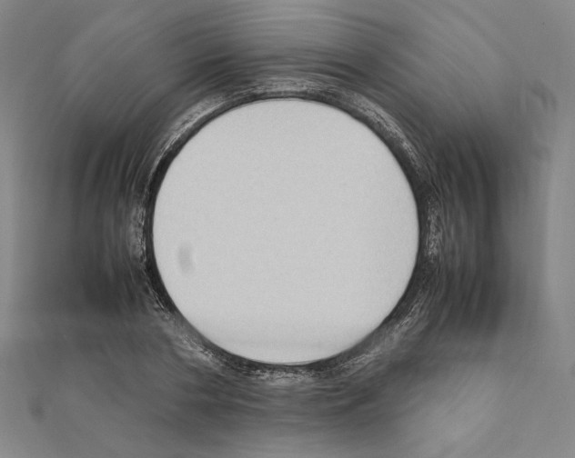 X0000111190786200908121046