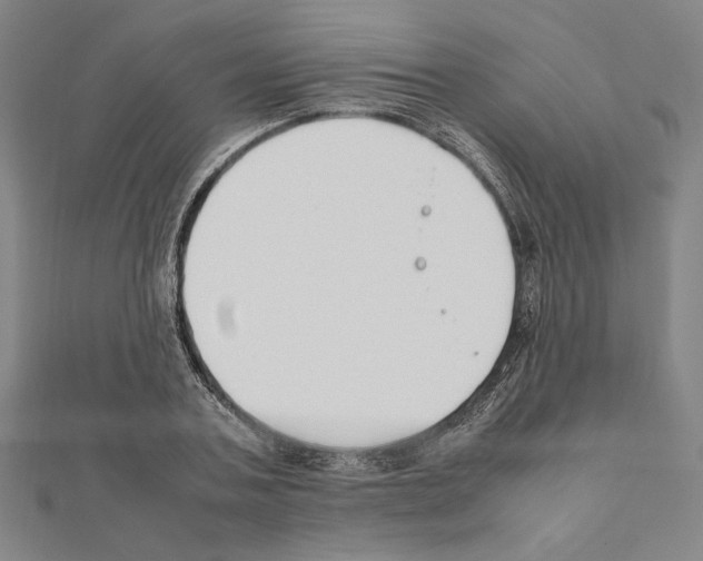 X0000111190787200908121046