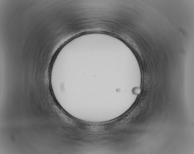 X0000111190789200908121046