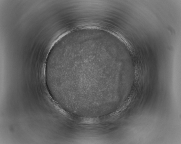 X0000111190790200908121046