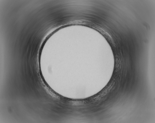 X0000111190792200908121046