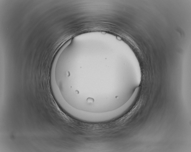 X0000111190793200908121046