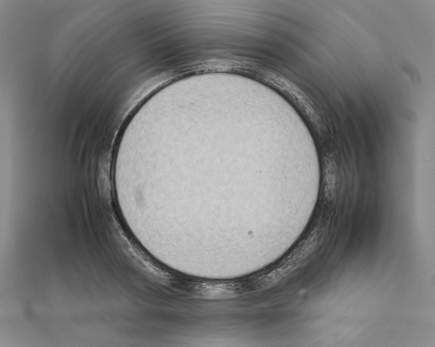 X0000111190794200908121046