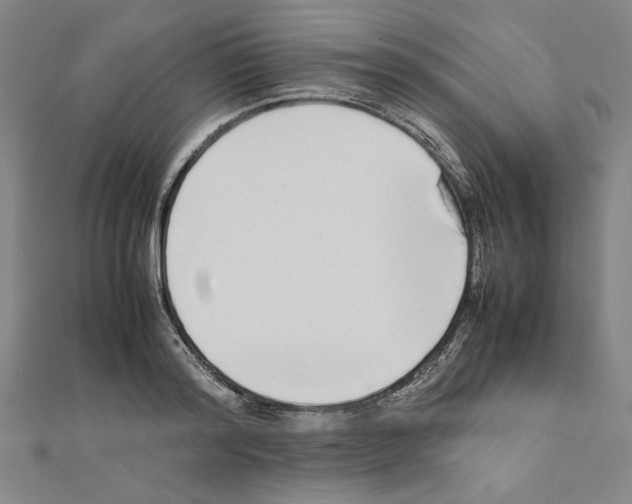 X0000111190796200908121046