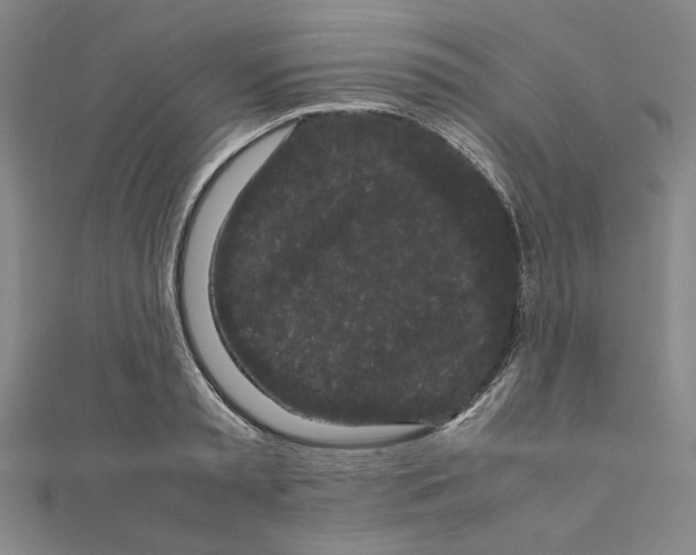 X0000111190797200908121046