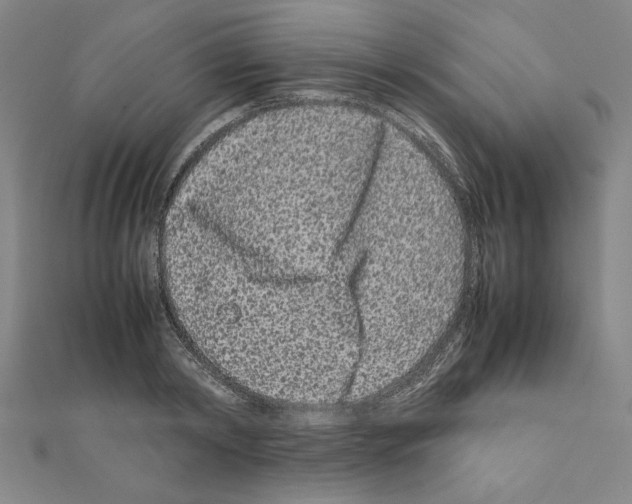 X0000111190798200908121046