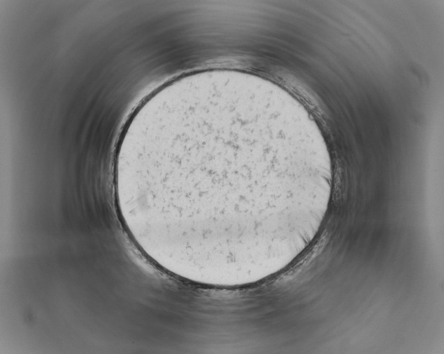 X0000111190800200908121046
