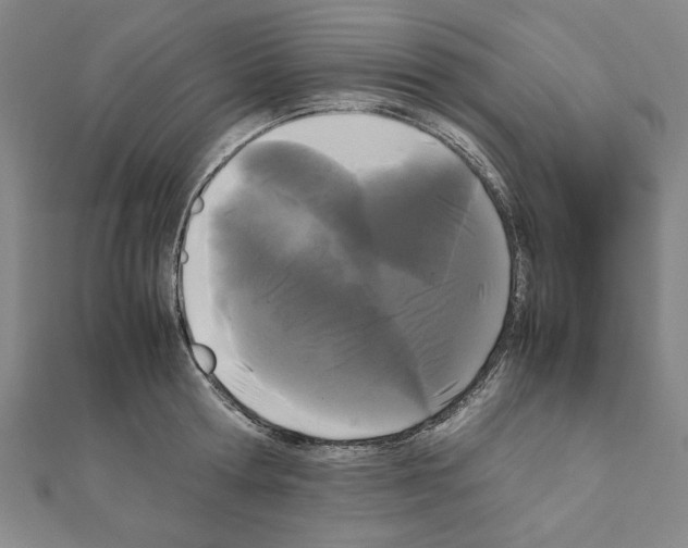 X0000111190802200908121046