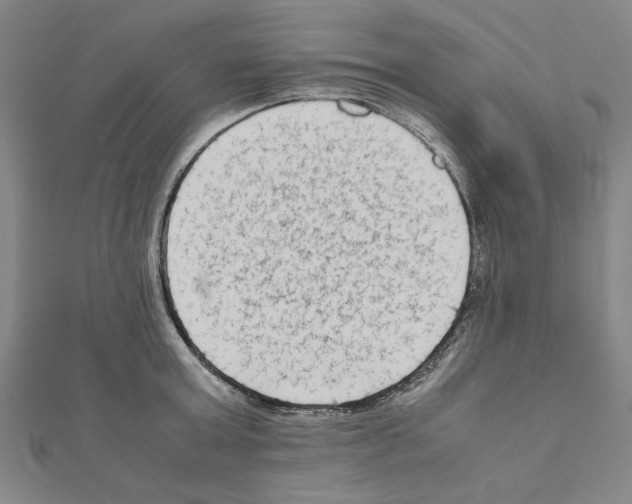 X0000111190803200908121046